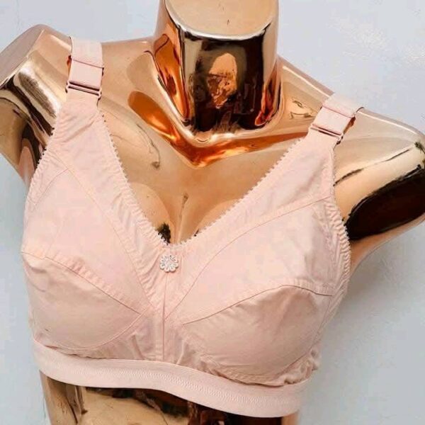 499891057_122117116376839971_6007994165028533848_n