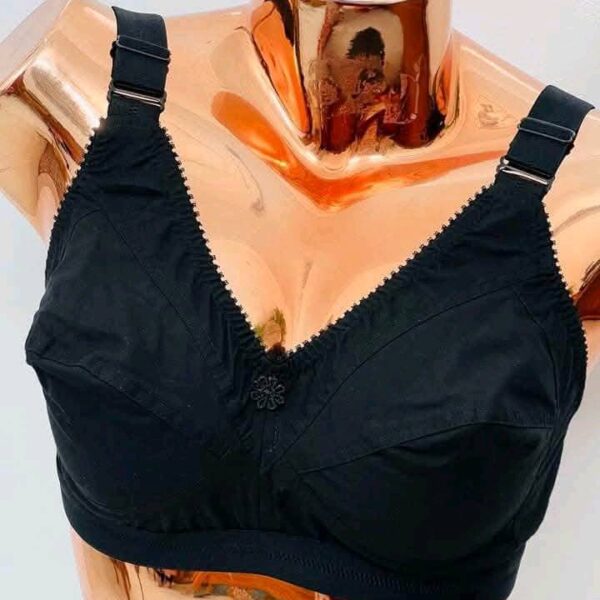 500098442_122117116226839971_4892746083266626046_n